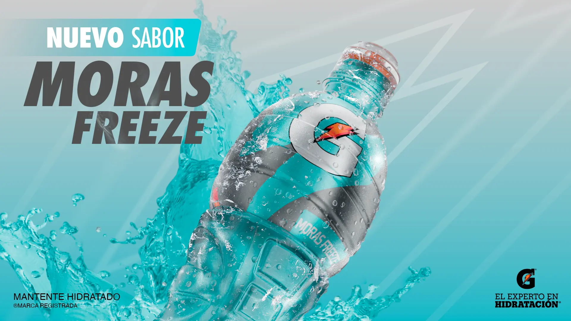 Nuevo Sabor - Moras Freeze